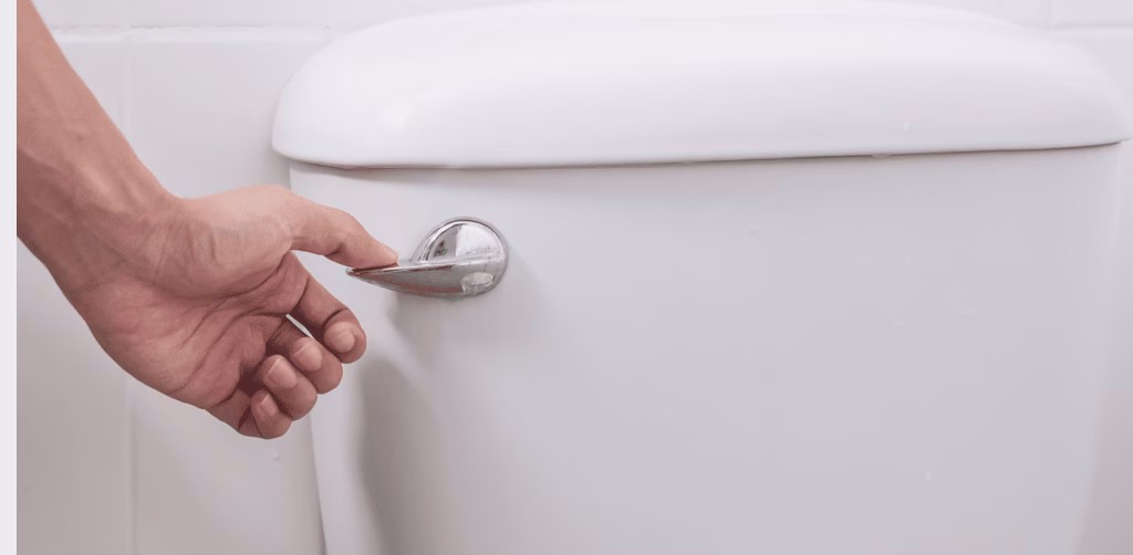 person flushing toilet