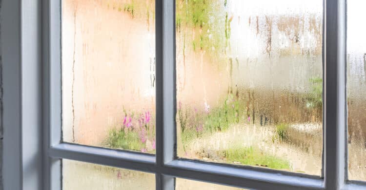 Condensation on window for what should the humidity level be in your house blog post